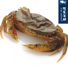 【阿家海鮮】活凍軟殼蟹 (600g±10%/盒)(8隻)